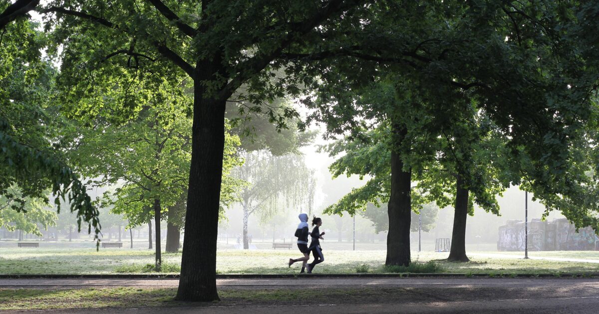 Jogger Park Laufen