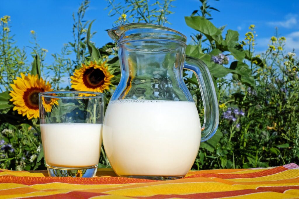 Milch Sonnenblumen