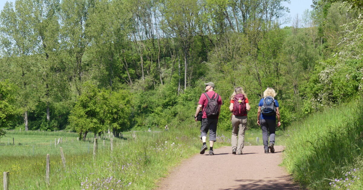 Wandern Paderborn Ellerbachtal